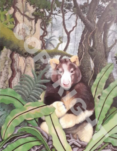 Tree Kangaroo